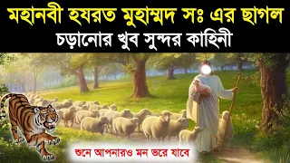 হযরত মুহাম্মদ সঃ এর ছাগল চড়ানোর খুব সুন্দর কাহিনী | শিশু নবীর চমৎকার | Muhammad sw | Islamic - ik