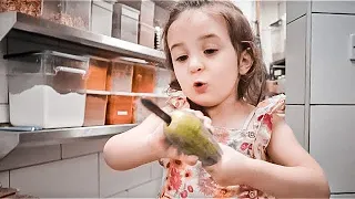 بيبي زينة طبختلنا ( خلطات جديده )