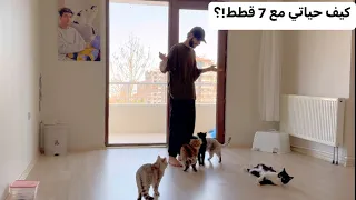كيف اعيش مع سبع قطط واهتم فيهم اول فيديو الي عاليوتيوب#روناس