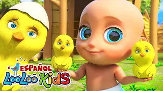 🐤🐥Los Pollitos Dicen Pio Pio + La Vaca Lola - Canciones Infantiles para niños - LooLoo Kids