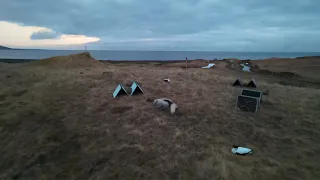 Fox On The Loose In Hraun // 4K Drone Footage