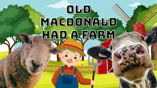 Old MacDonald had a farm song | ‪@TimKoKid‬ Nursery Rhymes & Kids Songs