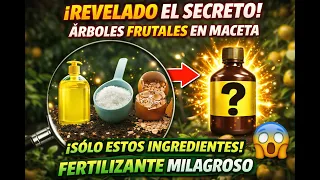 Cómo obtengo frutas en maceta todo el año usando un fertilizante milagroso