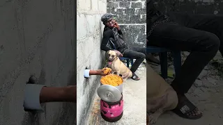 Security dog attack 