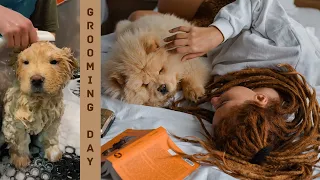 Grooming Day
