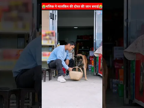 टॉमी ने मलिक की दुकान से फ्री में सामान लिया🤯~ Miniwood toy woodworking#shortvideos #shortsviral