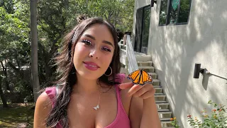 How I Raise Monarch Butterflies