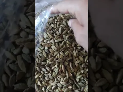 إستخراج زيت الهيل بالتقطير