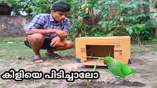 ഇനി എളുപ്പത്തിൽ കിളിയെ പിടിക്കാം🔥|BIGGEST BIRD TRAP 🙀