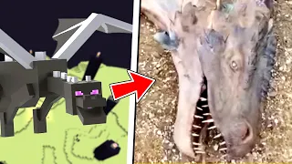 Mobs de Minecraft ENCONTRADOS EN LA VIDA REAL 😱