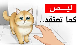 إذا كانت قطتك تتبعك للحمام، فهي تحاول إخبارك بهذا..