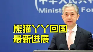 外交部：将以最快速度将“丫丫”平安运送回国