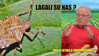 SMRDIBUBE - laži ili neznanje hemijskih kuća ?? OVO SU PRAVE PREPORUKE - svi preprati rade ali ...
