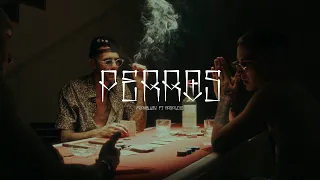 FYAHBWOY ❌ NADAL015  -  PERROS