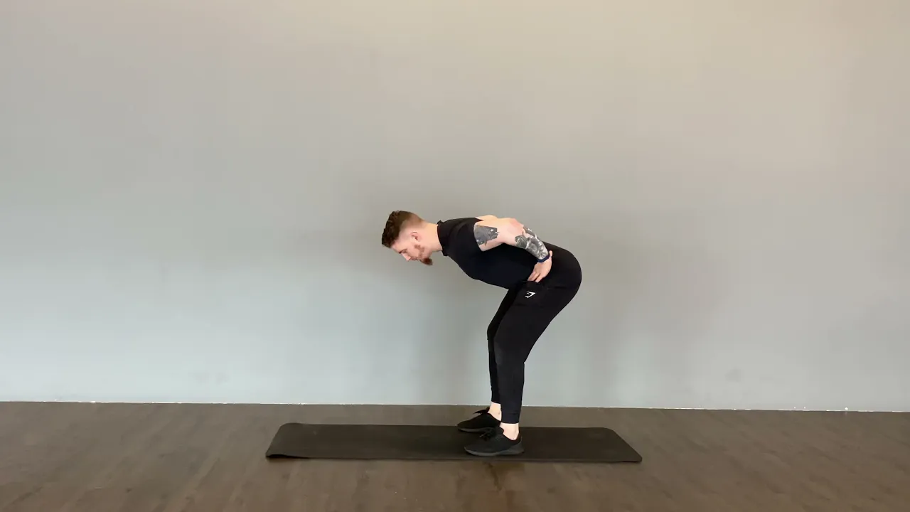 Image Hip Hinge