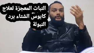 العلاج النهائي لبرد النبولة والتهاب المتانة والذهاب المتكرر للحمام طبيعيا.