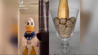 Donald Ducc Reacts To Satisfying Tiktoks (DO NOT LAUGH CHALLENGE) @DonaldDucc