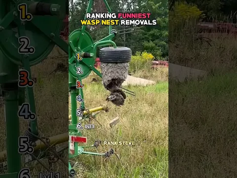 Ranking Funniest Wasp Nest Removals