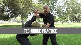 Technique Practice #monk#bruce lee#jackie chan#yipman#mma#ufc#gym#workout#Muay Thai#wwe