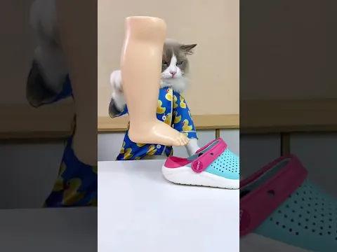 Oddly satisfying 🤪🤪🤪 Kids don’t try at home #thatlittlepuff  #Puffanythingyoulike #catsofyoutube