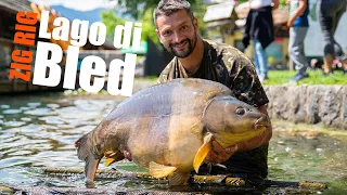 Primo approccio ad un lago nuovo | ZIG RIG | ep 1 con Riccardo Fanucchi