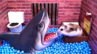 Complex DIY Hamster Obstracle Course: Professional Maze Build