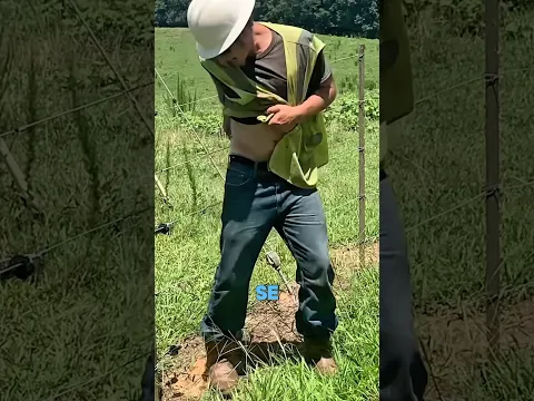 Qué Pasa Si Tocas Una Valla Eléctrica?