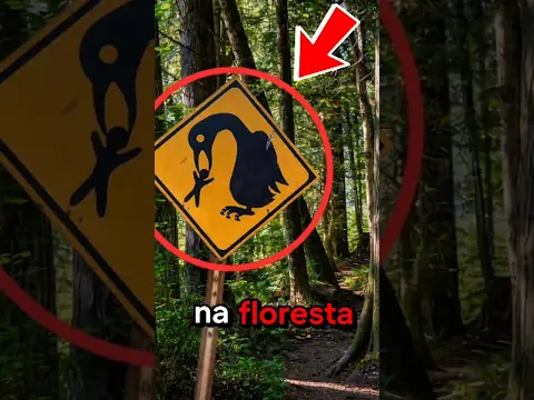 Se você for CAMINHAR e vir esta placa, corra imediatamente❗️😱