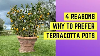 4 reasons WHY to prefer terracotta pots from Impruneta