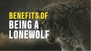Benefits of being a lone wolf #foryou #trending #viral #motivation #lonewolf #inspiration #fypシ