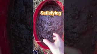 Satisfying Video