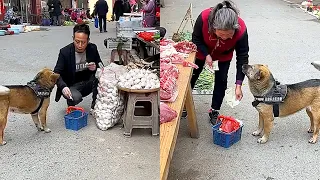 High-IQ dog helps owner buy meat🥩