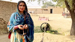 Desi Mehnat Ka Ek Rang Yeh Bhi | Bull Powered Chaff Cutter