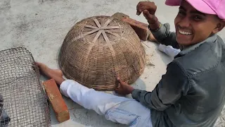 कबूतर कैसे पकड़ा? 😱 | आसान और सुरक्षित तरीका देखकर आप भी हैरान रह जाएंगे! 🕊️
