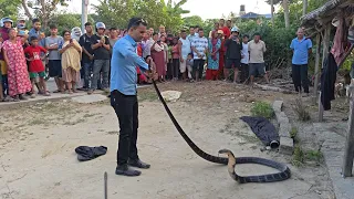 🐍 😱 King cobra snake rescue in Nepal ! सबै भन्दा ठूलो र खतरनाक किङ कोब्रा सर्प भेटियो आज।