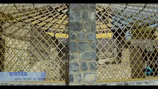 রাসুল  ﷺ কে শেষ গোসল দেওয়া হলো যে কূপের পানিতে - মাকারিম - ২৭২