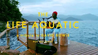 Seu Jorge - The Life Aquatic ( David Bowie Tribute)