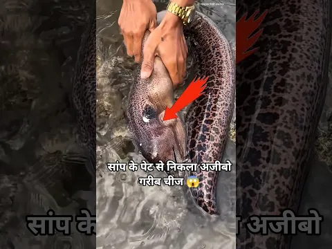 #ishamalviya