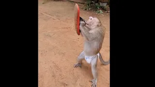 Calling Shally Kindly But Reacting Nusty To Mom