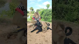 Amazing Video Best SokYaa,OG, Pao & Mom Are Famous Around The World #shorts