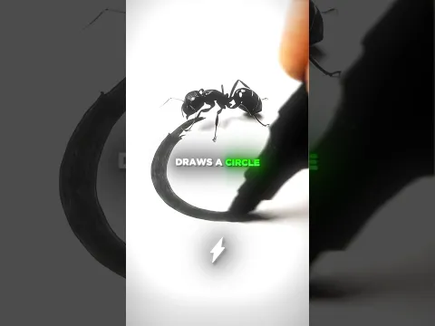 The Truth Behind The VIRAL Trapped Ant... 🤯🧠