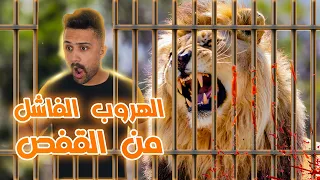 The Game |  تحدي الهروب من قفص الأسد ⛔️