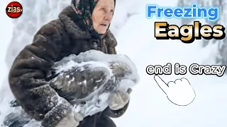 The Eagle Was on the Verge of Death. What that Old Woman did Next is Unthinkable!