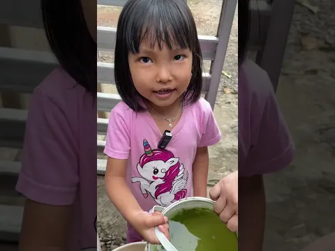 Cara bikin pupuk dari buah jambu busuk #komedibengkulu #lucu #komediindonesia