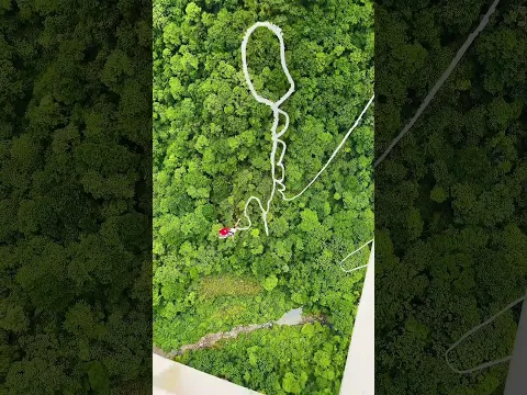 💢张家界玻璃桥蹦极 Zhangjiajie Glass Bridge Bungee Jumping #animal 【跟着图尔去旅行】