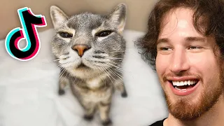 Best Videos of 2022!