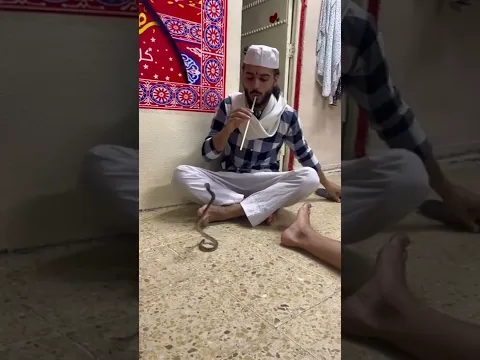 فلم هندي بنكهة عراقية 😂
