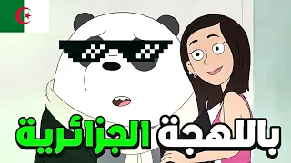 تحشيش الدببة الثلاثة 😂💥🇩🇿 | باندا تزوج ؟؟