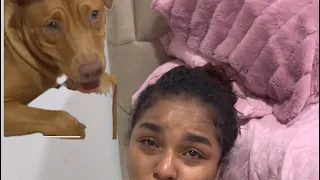 Ava se va de la casa 😭💔