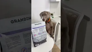 ОСКАР И ДЖОНИ ИСЧЕЗЛИ😰 2 ЧАСТИ